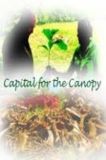 Watch Capital for the Canopy Viooz