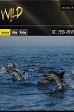 Watch National Geographic Wild Dolphin Army Viooz