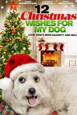 Watch 12 Christmas Wishes For My Dog Viooz