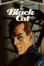 Watch The Black Cat Viooz