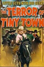 Watch The Terror of Tiny Town Viooz