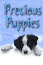 Watch Precious Puppies Viooz