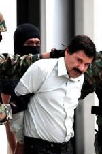 Watch The Rise and Fall of El Chapo Viooz