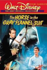 Watch The Horse in the Gray Flannel Suit Viooz
