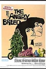 Watch The Angry Breed Viooz