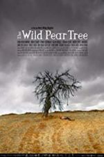 Watch The Wild Pear Tree Viooz