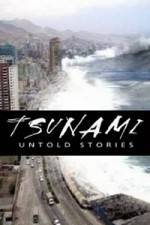 Watch Tsunami: Untold Stories Viooz