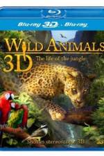 Watch Wild Animals - The Life of the Jungle 3D Viooz