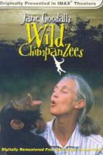 Watch Jane Goodall's Wild Chimpanzees Viooz
