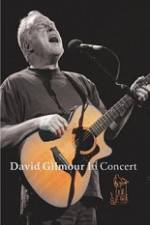 Watch David Gilmour in Concert - Live at Robert Wyatt's Meltdown Viooz