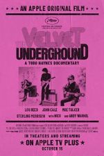Watch The Velvet Underground Viooz