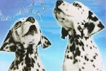 Watch 101 Dalmatians Sing Along Viooz