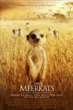 Watch The Meerkats Viooz