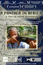 Watch A Panther in Africa Viooz