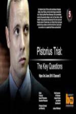 Watch Pistorius Trial: The Key Questions Viooz