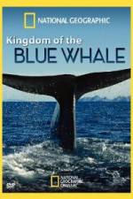 Watch National Geographic Kingdom of Blue Whale Viooz