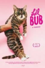 Watch Lil Bub & Friendz Viooz