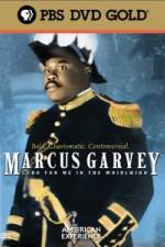 Watch Marcus Garvey: Look for Me in the Whirlwind Viooz