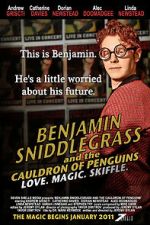 Watch Benjamin Sniddlegrass and the Cauldron of Penguins Viooz