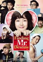 Watch Finding Mr. Destiny Viooz