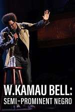 Watch W. Kamau Bell: Semi-Promenint Negro Viooz