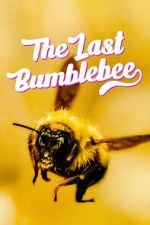 Watch The Last Bumblebee Viooz