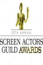 Watch The 20th Annual Screen Actors Guild Awards Viooz