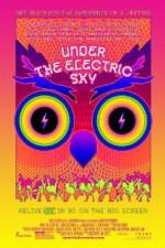 Watch EDC 2013: Under the Electric Sky Viooz