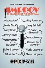 Watch The Improv: 50 Years Behind the Brick Wall (TV Special 2013) Viooz
