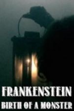 Watch Frankenstein: Birth of a Monster Viooz