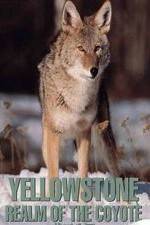 Watch Yellowstone: Realm of the Coyote Viooz