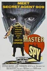 Watch Master Spy Viooz