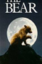 Watch The Bear - (L'ours) Viooz
