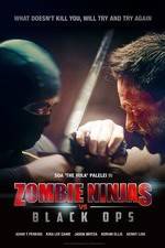 Watch Zombie Ninjas vs Black Ops Viooz