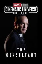 Watch Marvel One-Shot: The Consultant Viooz
