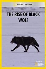 Watch The Rise of Black Wolf Viooz