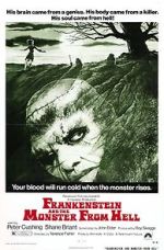 Watch Frankenstein and the Monster from Hell Viooz