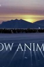 Watch Snow Animals Viooz