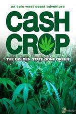 Watch Cash Crop Viooz