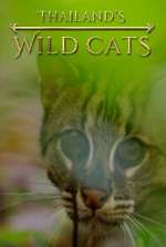 Watch Thailand's Wild Cats Viooz