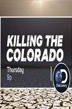 Watch Killing the Colorado Viooz