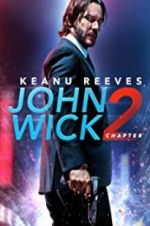 Watch John Wick Chapter 2: Wick-vizzed Viooz