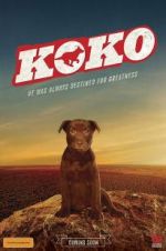 Watch Koko: A Red Dog Story Viooz