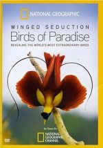 Watch Winged Seduction: Birds of Paradise Viooz