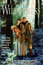 Watch Miracle in the Wilderness Viooz