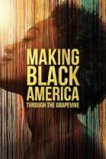 Watch Making Black America: Through the Grapevine Viooz