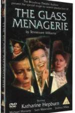 Watch The Glass Menagerie Viooz