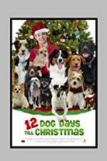 Watch 12 Dog Days Till Christmas Viooz
