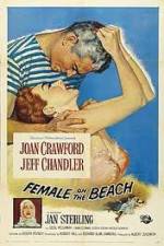 Watch Female on the Beach Viooz