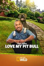 Watch Cesar Millan: Love My Pit Bull Viooz